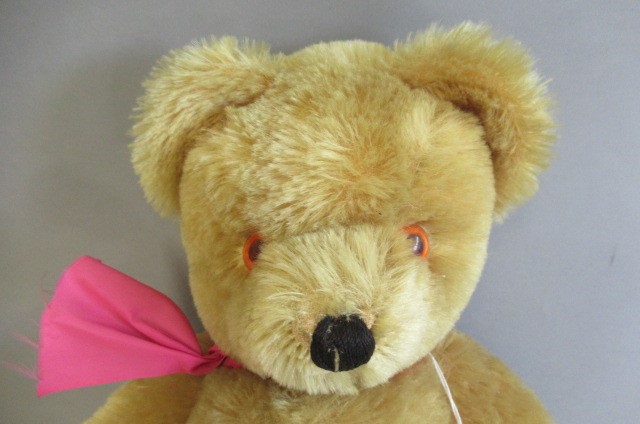 A Farnell growling teddy bear Image