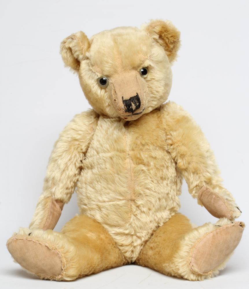 An English teddy bear Image