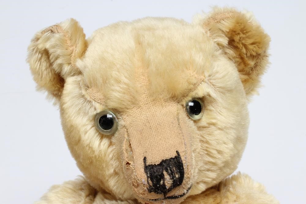 An English teddy bear Image
