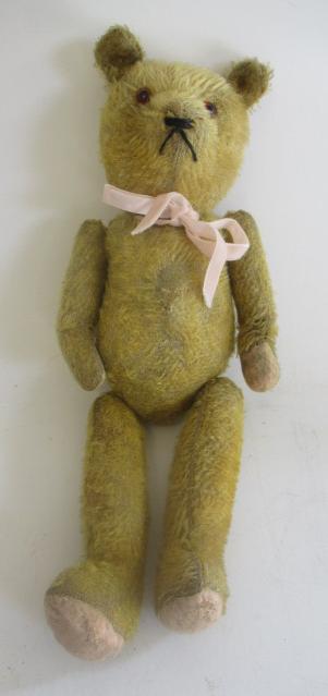 A pre-war teddy Image