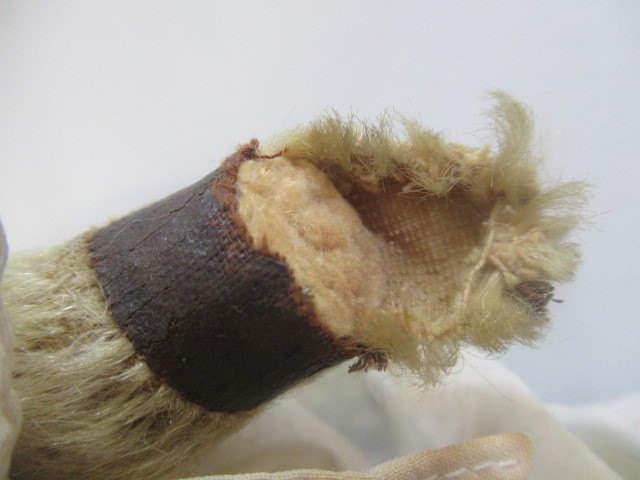 A 1940s teddy "Miss Tilly-pop" Image