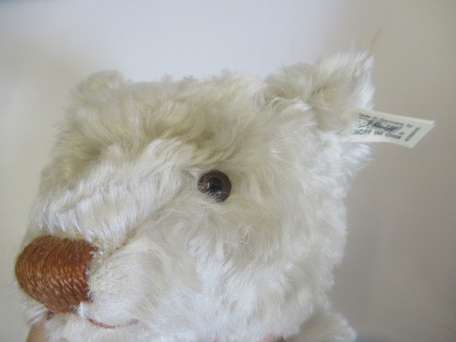A boxed Steiff British Collector's 1911 replica teddy bear Image