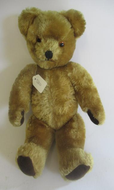 A Pedigree musical teddy Image