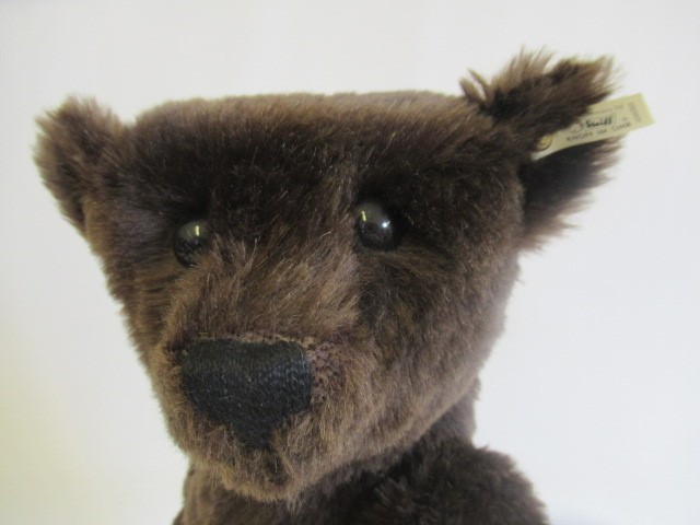 A boxed Steiff British Collector's 1907 replica teddy bear Image