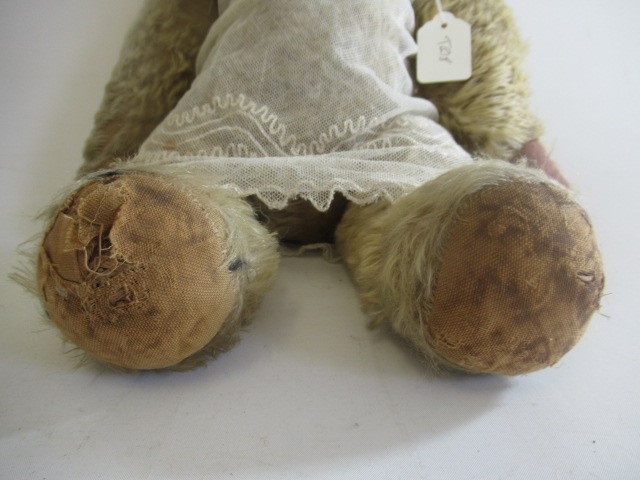 A pre-war teddy Image