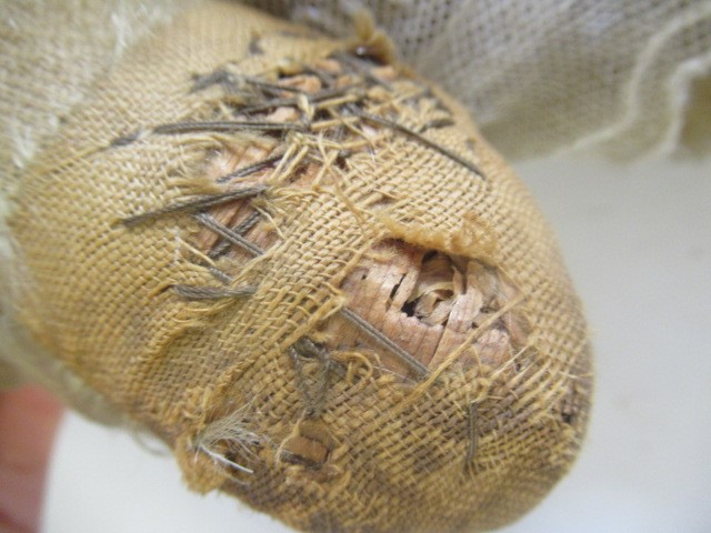 A pre-war teddy Image