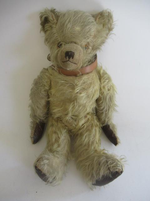 A long haired teddy Image