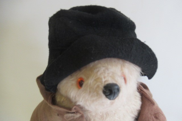 A Paddington bear Image
