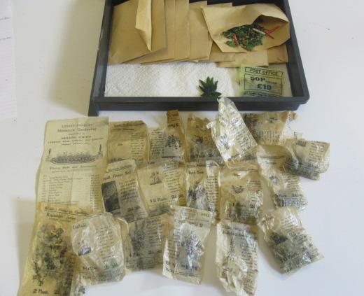 Britains Garden Flowers Image