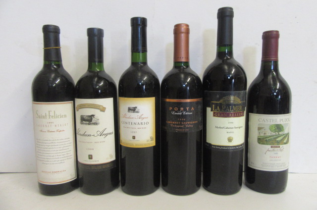 One bottle 1995 Cabernet Merlot Saint Felicia (Argentina) Image