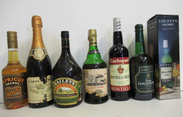 One bottle Apricot Brandy Image