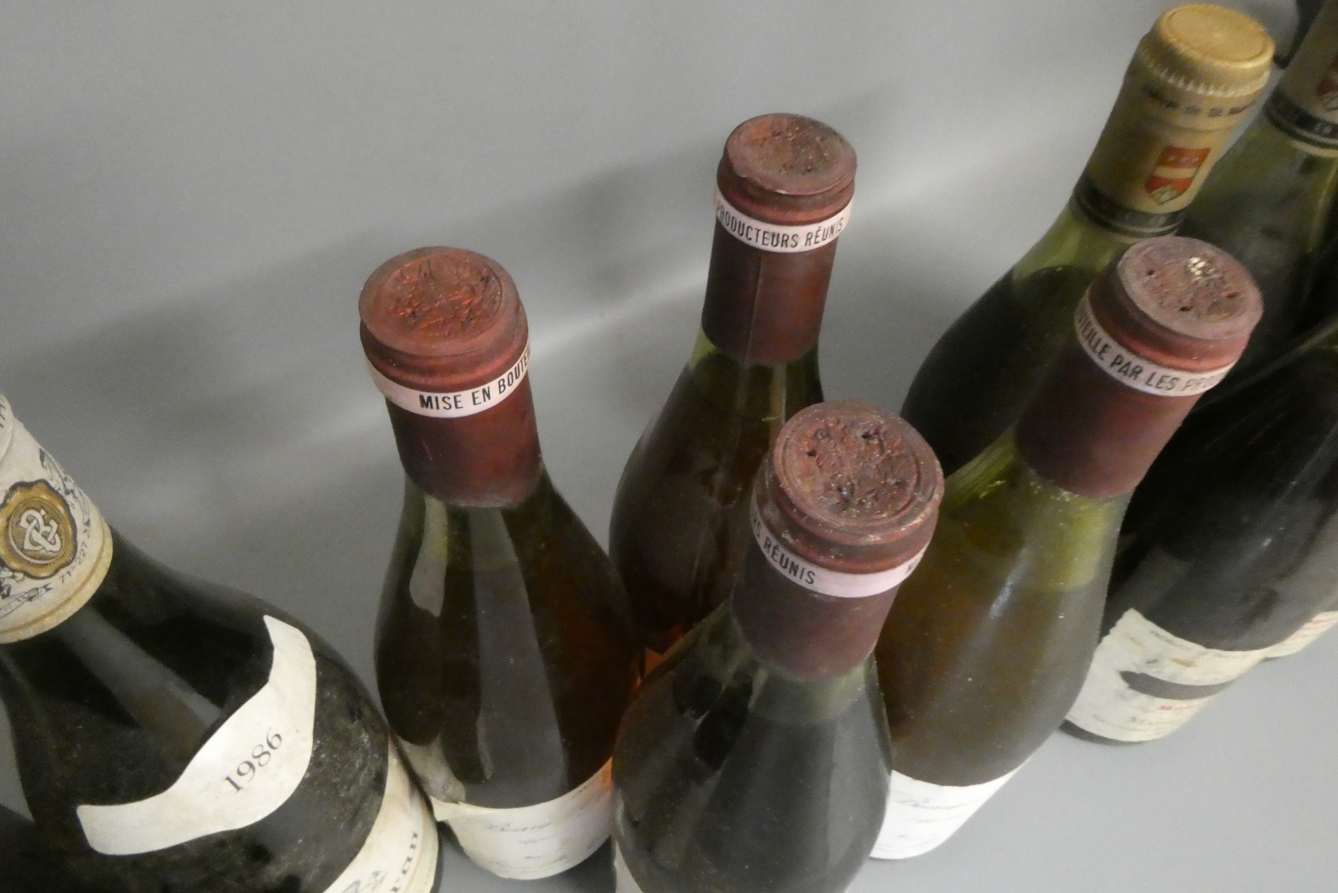 Fourteen bottles of white Burgundy & Rhone Image