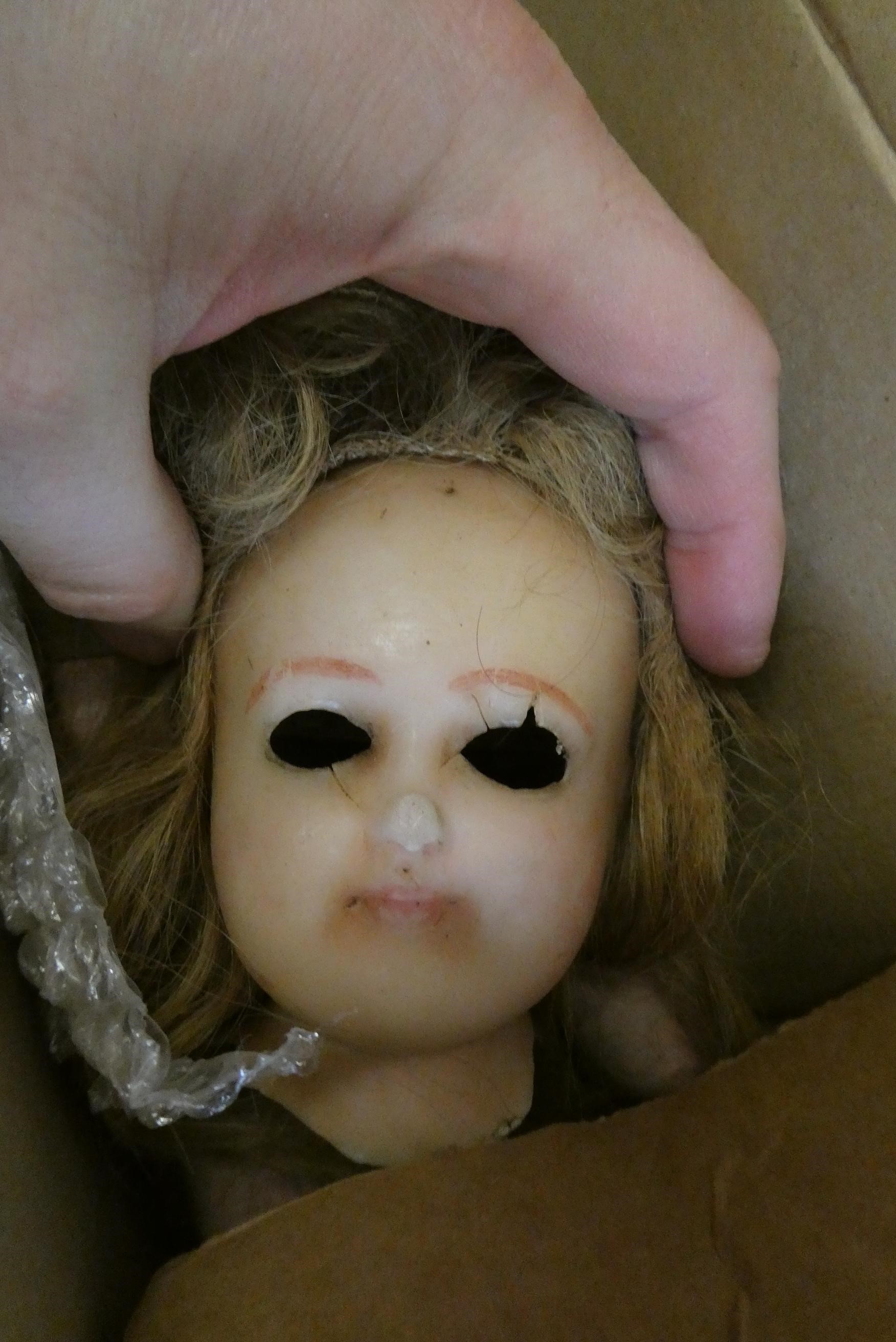 A quantity of bisque Image