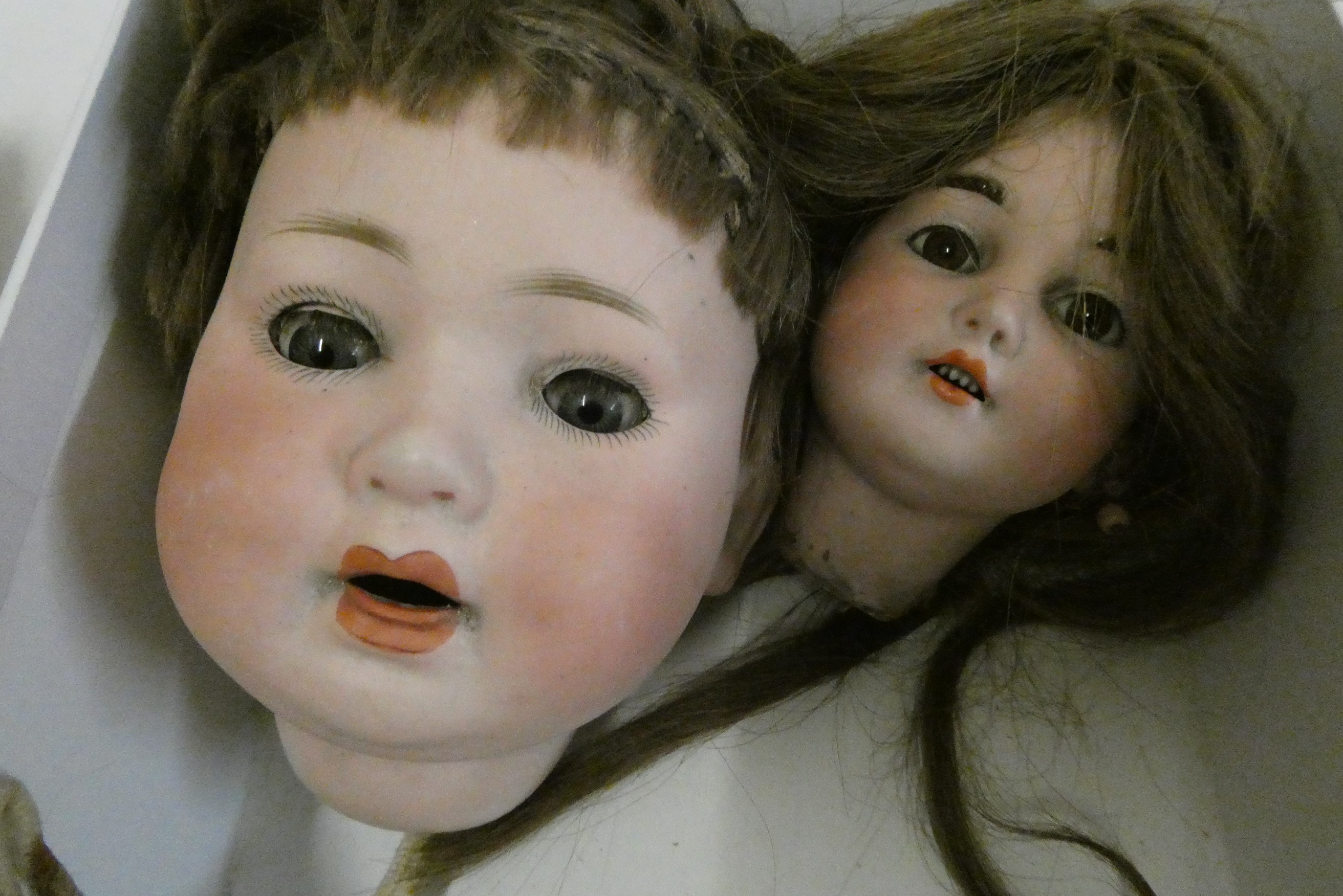 6 dolls heads Image