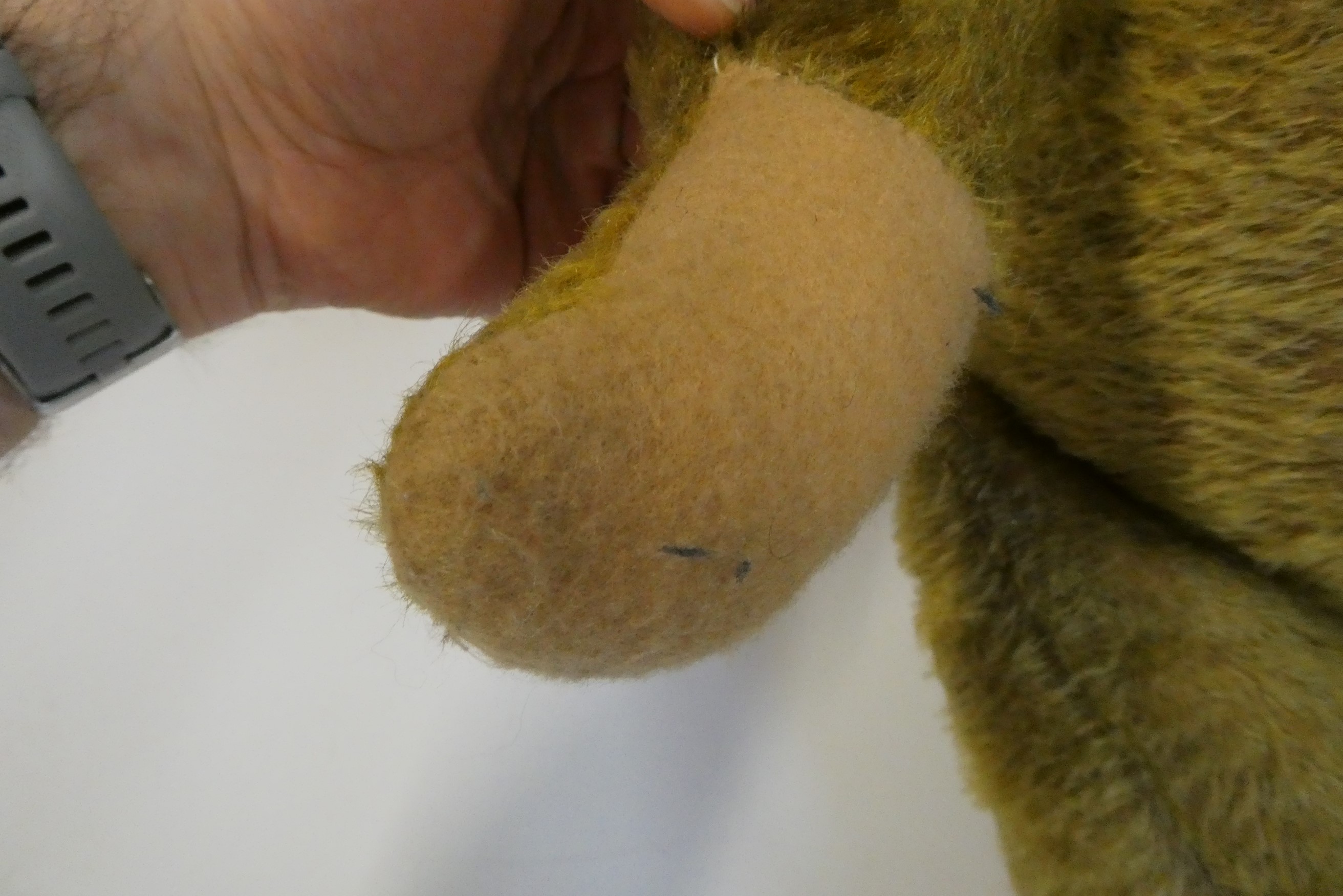 Pre-war jointed teddy bear, with clear glass eyes, orange plush sewn nose and felt pads, 26" long Image