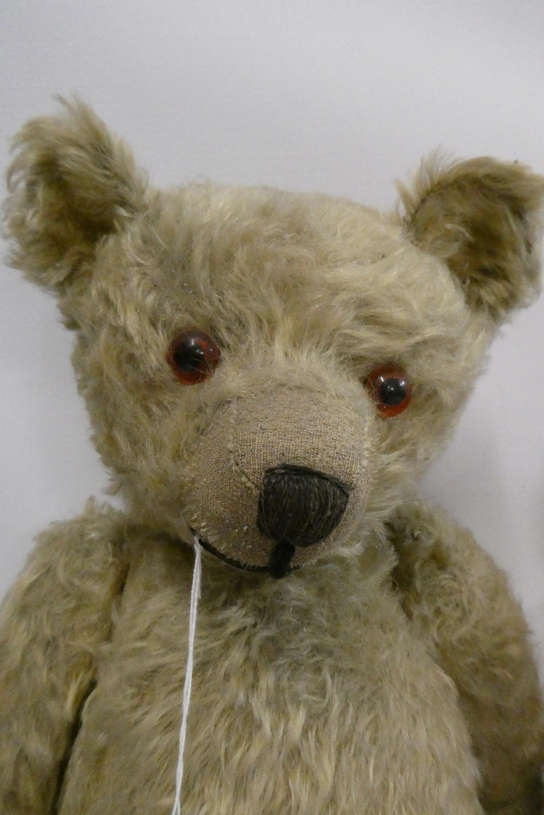 Two old straw filled teddies, comprising a 20" vintage English bear with shaven muzzle, amber eyes Image