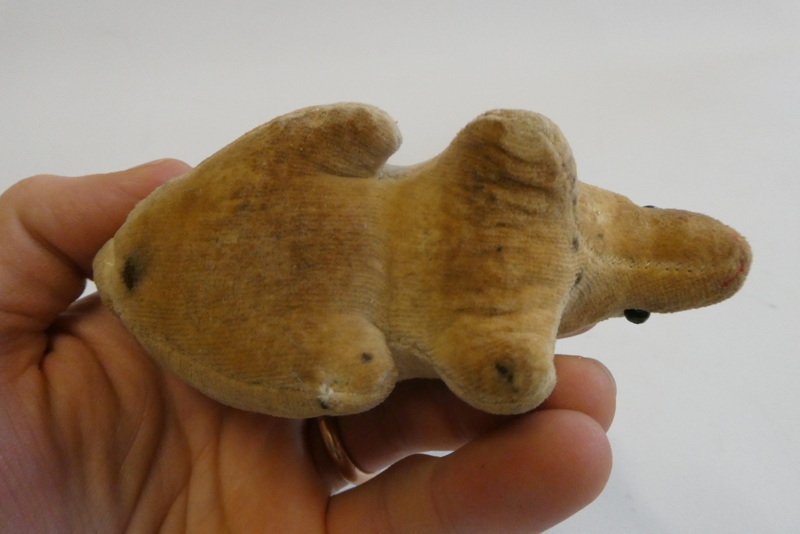 An early velvet rabbit, possibly Steiff, with shoe button eyes, 5" long Image