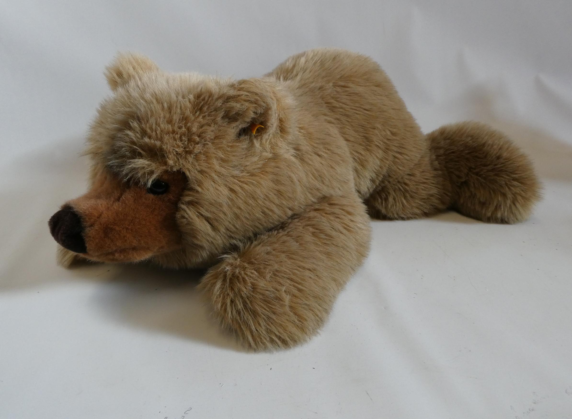 A large Steiff recumbent teddy bear, with long light brown plush, ear button and label, 27" long Image