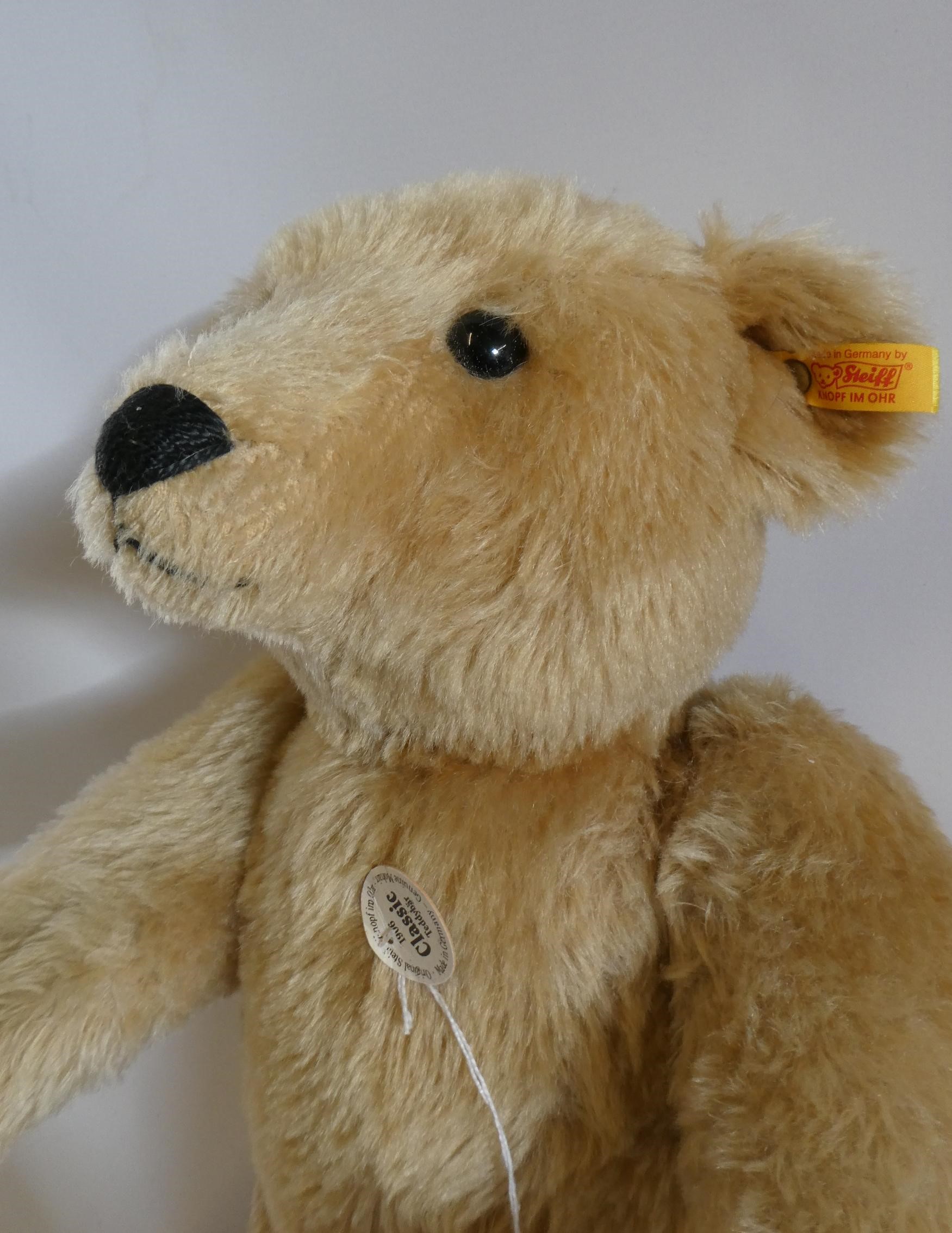 Steiff 1906 Classic teddy bear, with black button eyes, felt pads, card label to body, ear button Image