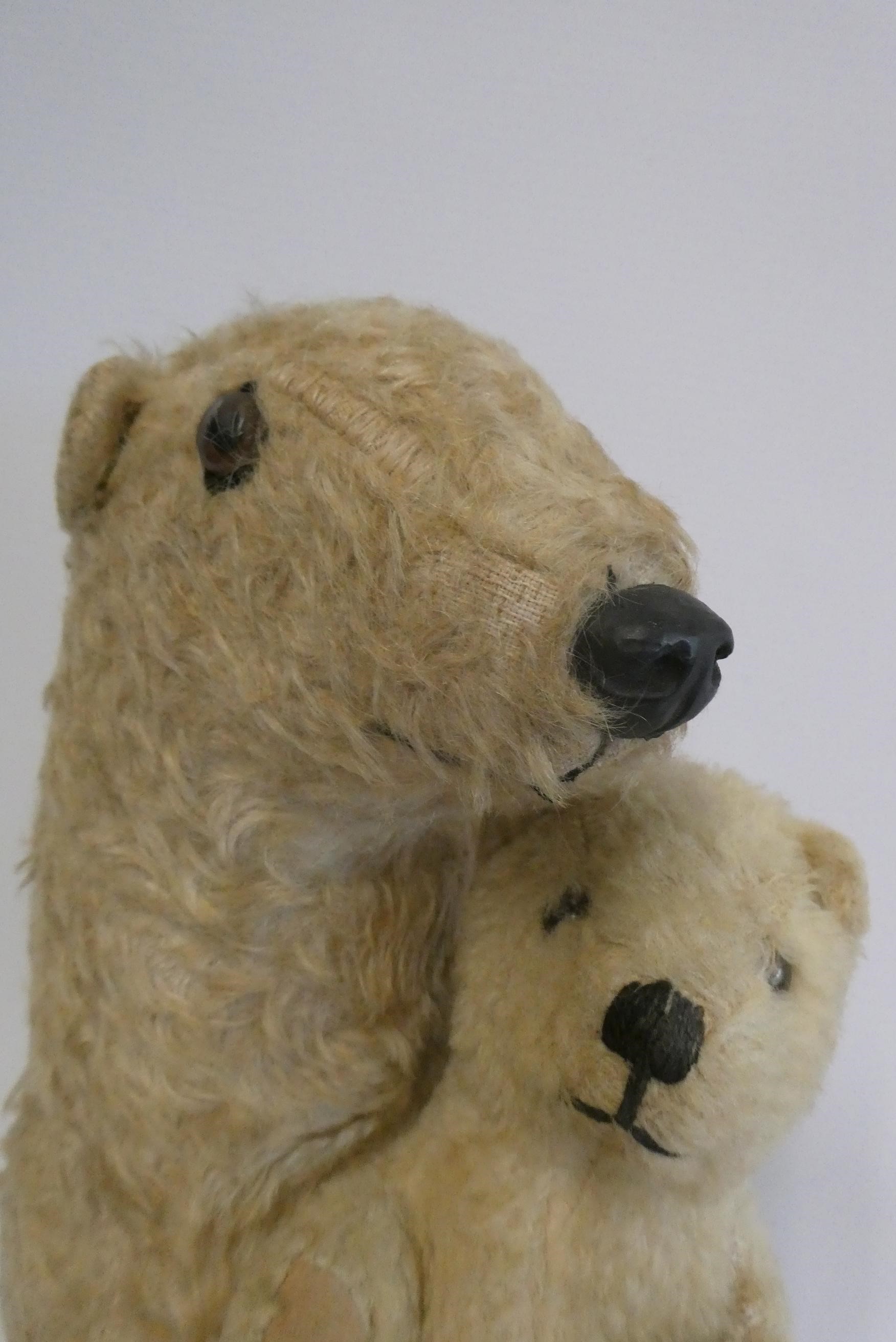 Deans Rag book polar bear and cub, Ivy & Brumas, c.1950, with white plush and label Image
