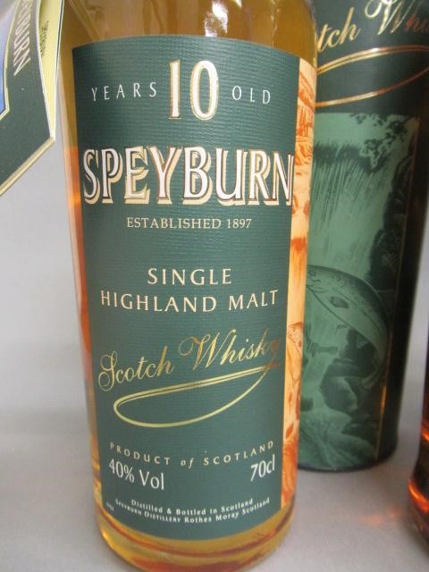 Two bottles of Speyside 10 year old single malt whisky Image