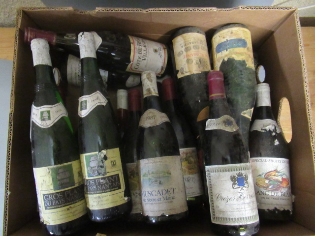 Twenty bottles of Burgundy and Rhone Image