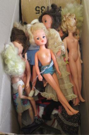 Eleven Sindy dolls Image