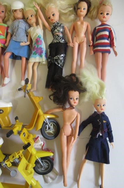 Eleven Sindy dolls Image