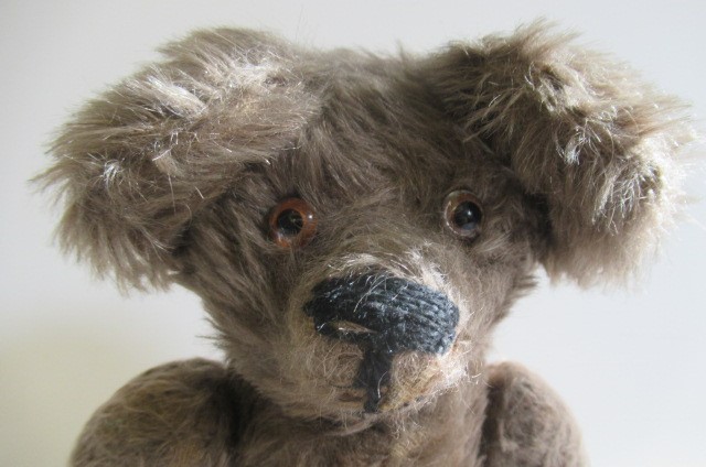 An old teddy bear Image