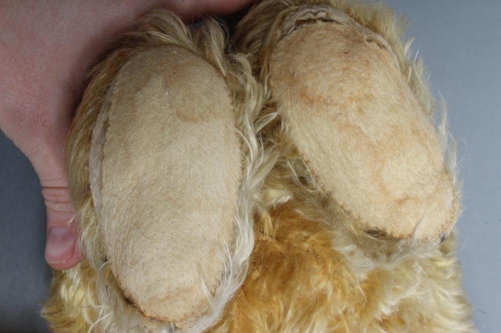 A pre-war German long haired jointed teddy bear Image