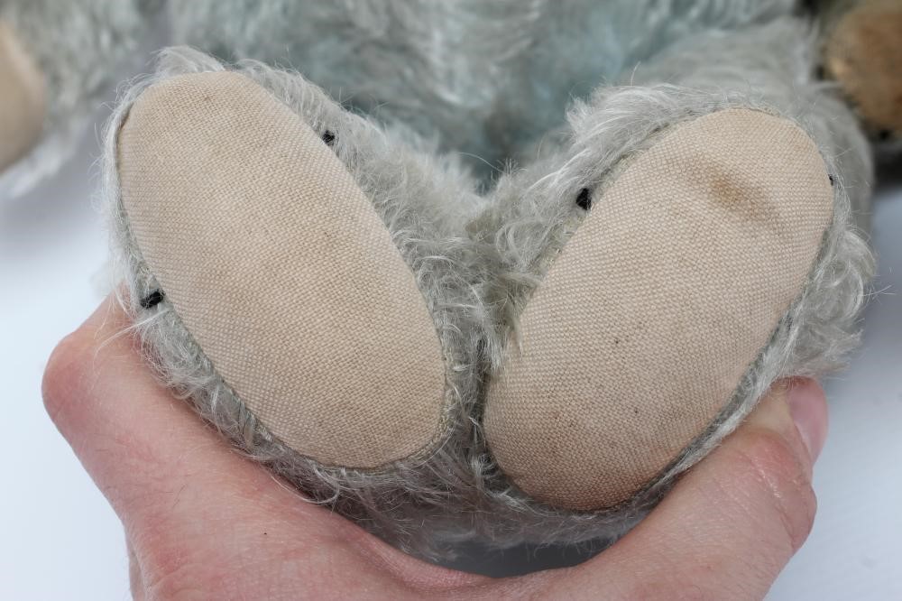 A rare pair of Chiltern blue teddy bears Image