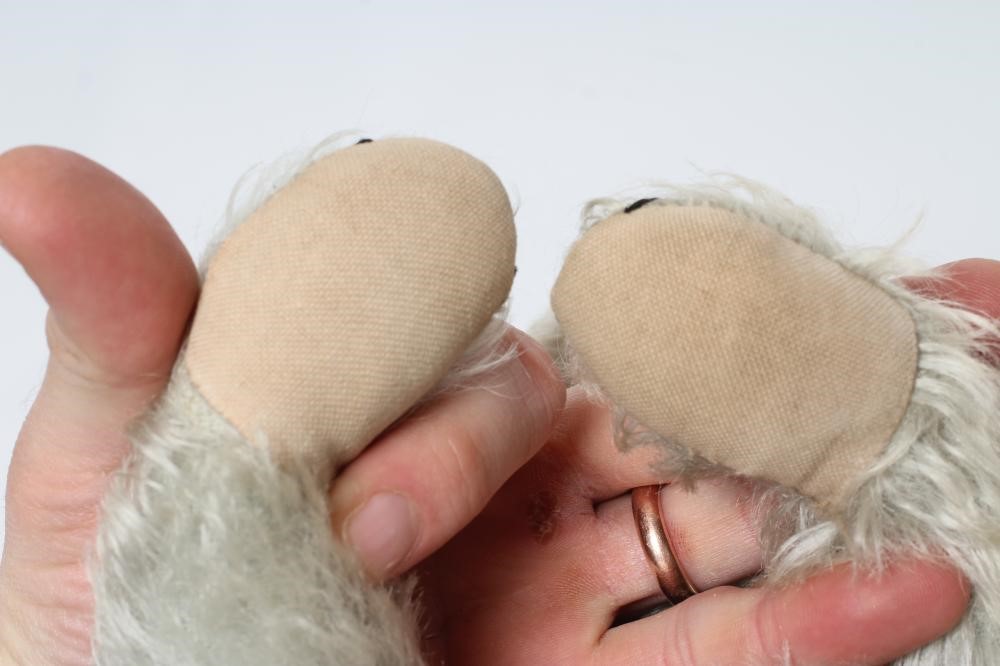 A rare pair of Chiltern blue teddy bears Image