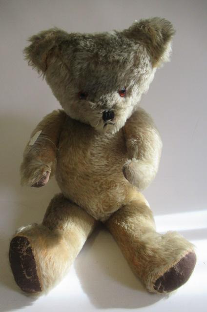 A large old growling teddy bear Image