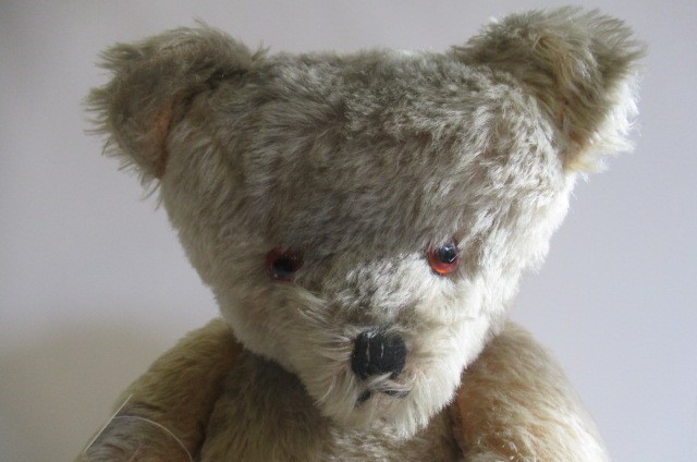 A large old growling teddy bear Image