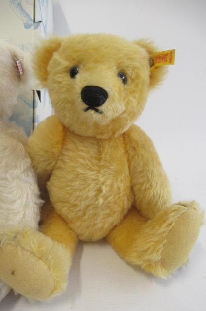 Three Steiff bears Image