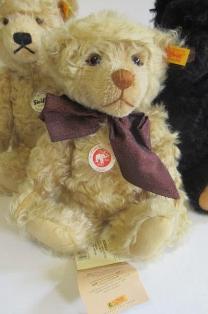 Three Steiff bears Image