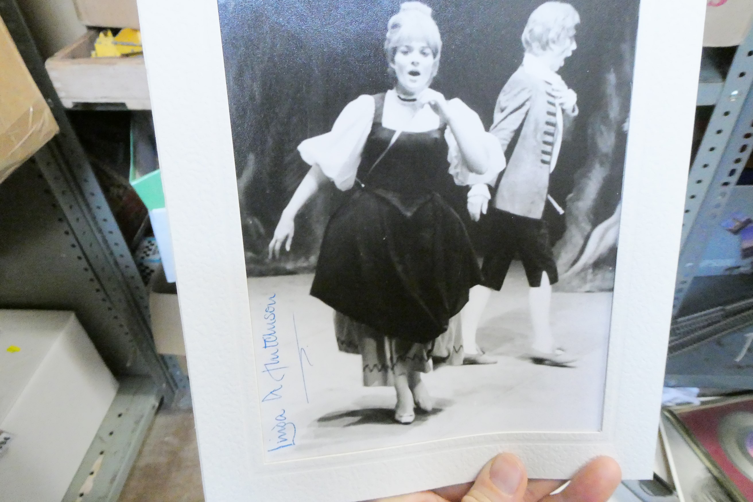 A large collection of autographs Image