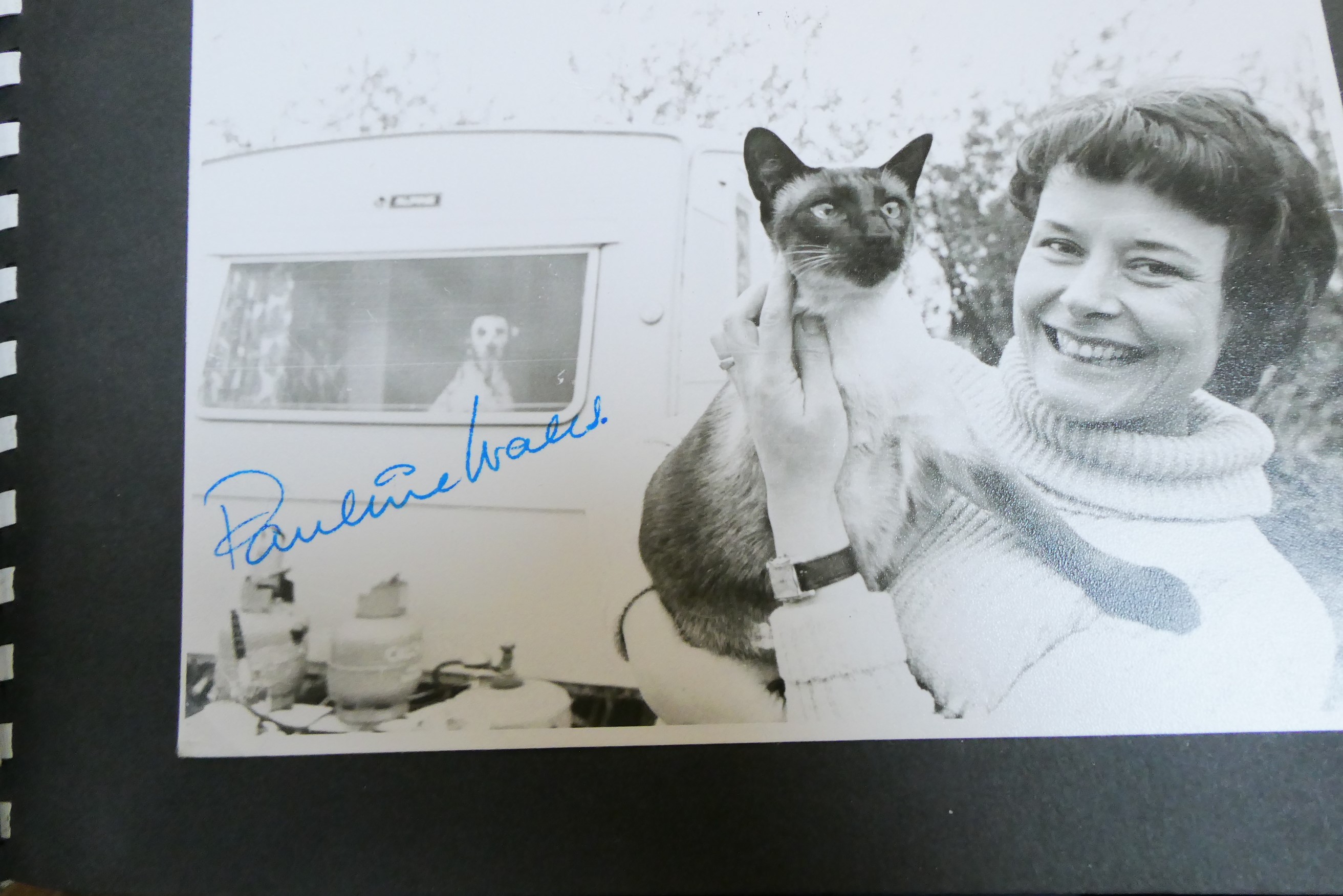 A large collection of autographs Image