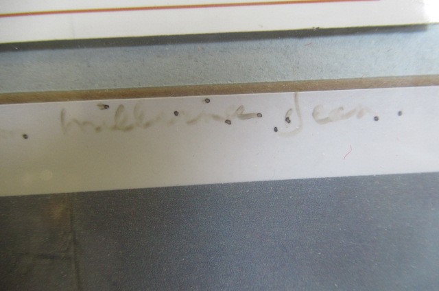 Millvina Dean autograph Image