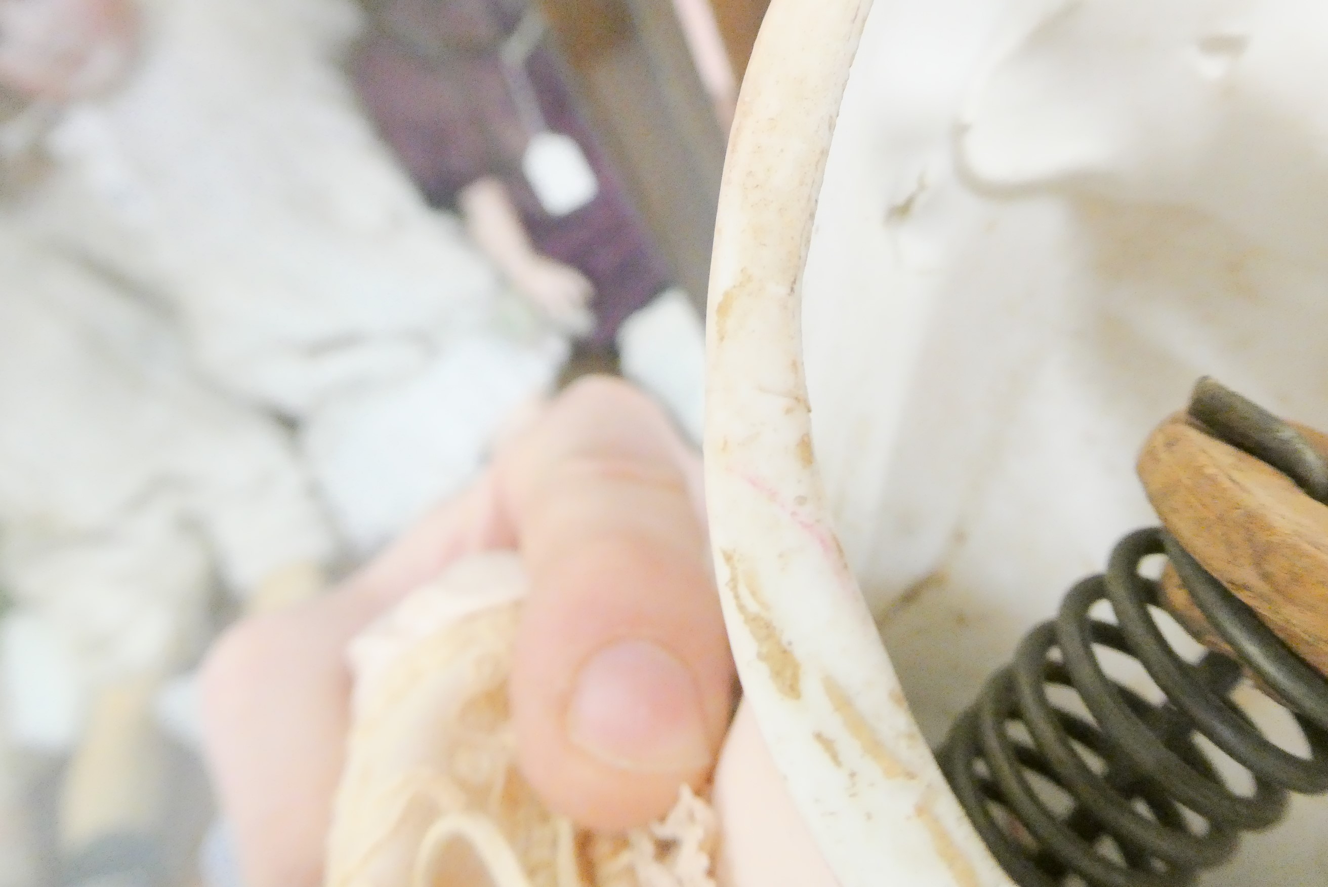 A Tete Jumeau bisque socket head doll Image