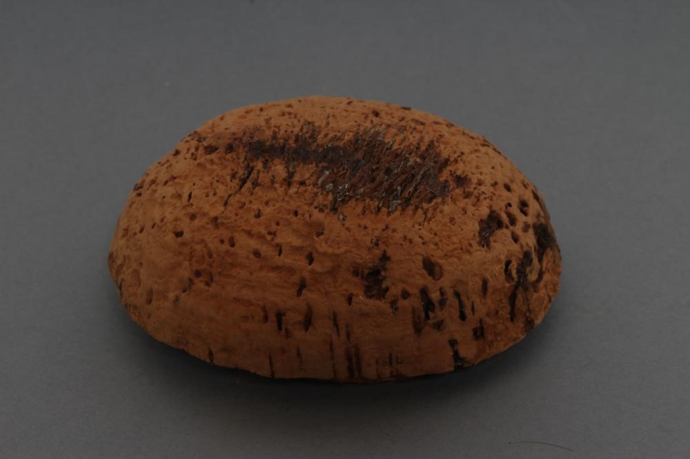 A Tete Jumeau bisque socket head doll Image