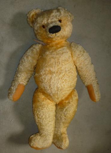 An English teddy bear Image