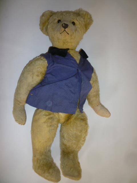 An English teddy bear Image