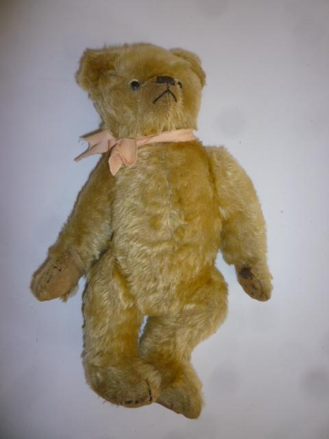 An English teddy bear Image