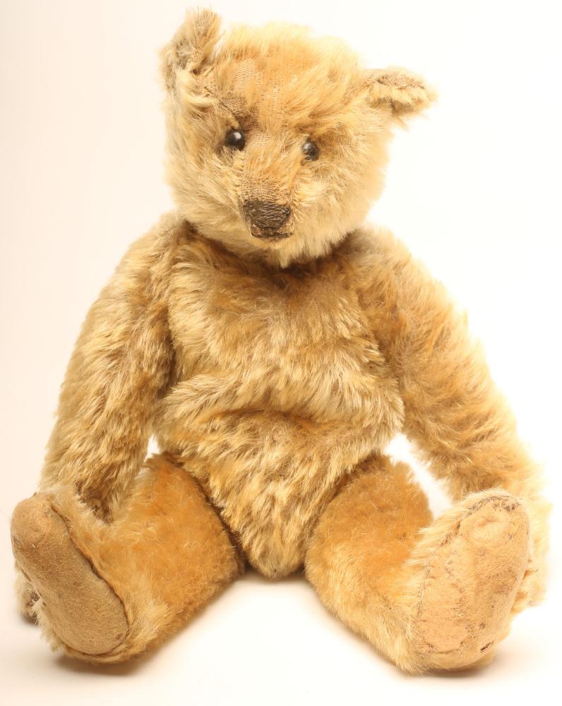 A Steiff "Archie" bear Image