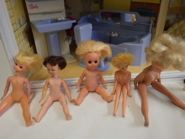 A large quantity of Sindy items Image