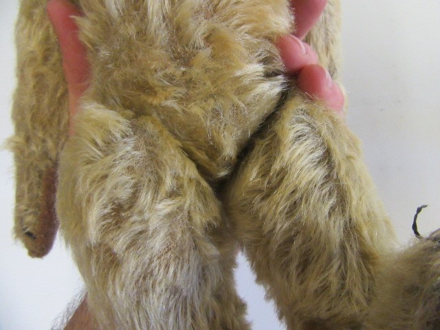 An early 20th century teddy bear Image