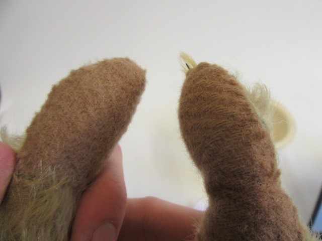 An early 20th century teddy bear Image