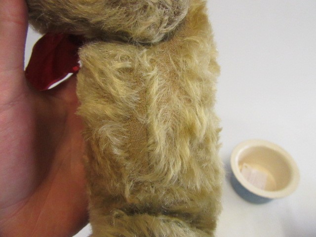 An early 20th century teddy bear Image