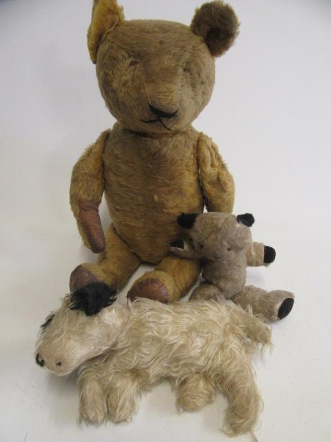 A long haired handbag dog Image